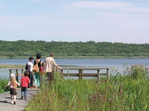 Aquascope de Virelles