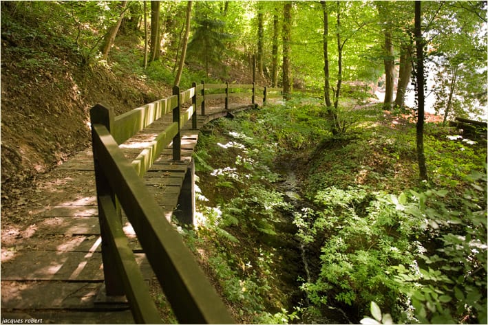 Promenades balisées – Momignies