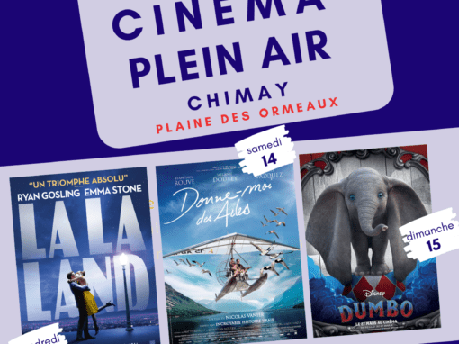 Week-end Cinéma Plein Air